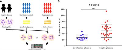 Abundance of ACVR1B transcript is elevated during septic conditions: Perspectives obtained from a hands-on reductionist investigation